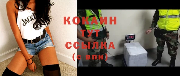 МДПВ Инсар