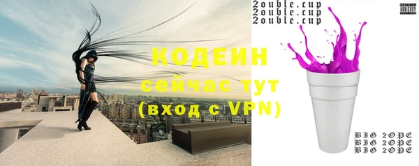 МДПВ Инсар