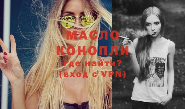МДПВ Инсар