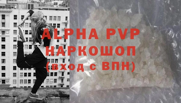 МДПВ Инсар
