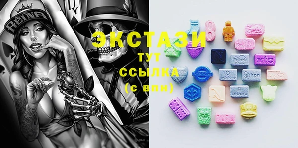 МДПВ Инсар