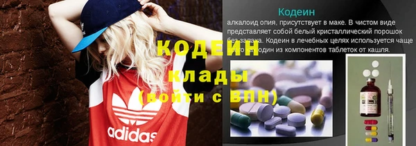 МДПВ Инсар