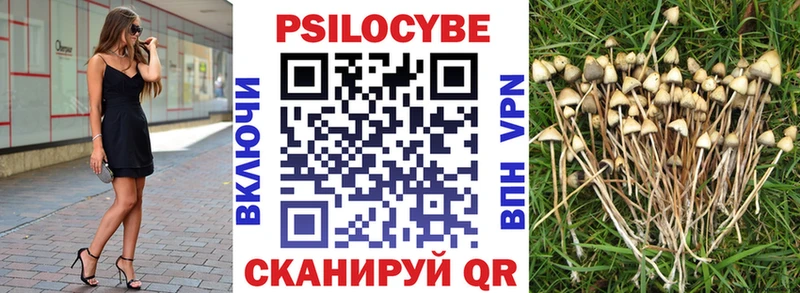 наркотики  Долгопрудный  мега как зайти  Галлюциногенные грибы GOLDEN TEACHER 